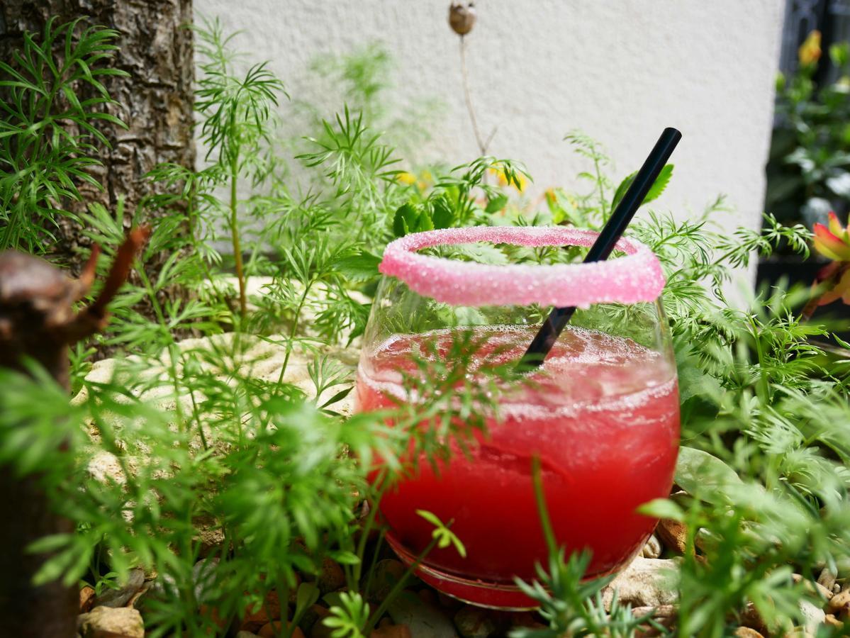 Les Jardins D'Alienor Hotel Le Château-dʼOléron Kültér fotó