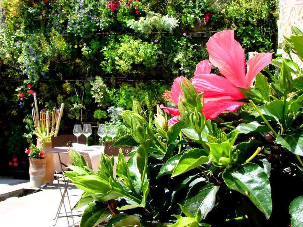 Les Jardins D'Alienor Hotel Le Château-dʼOléron Kültér fotó